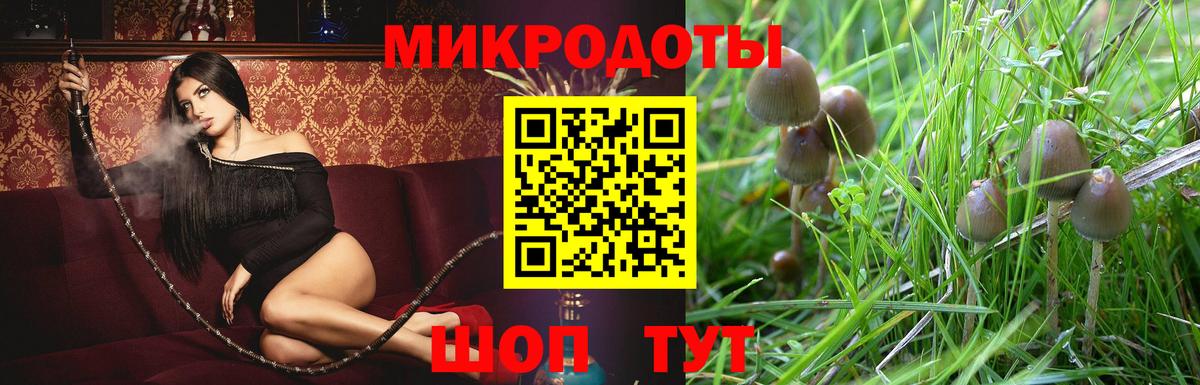 Псилоцибиновые грибы Cubensis Новый Уренгой